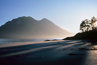 Nootka Beach